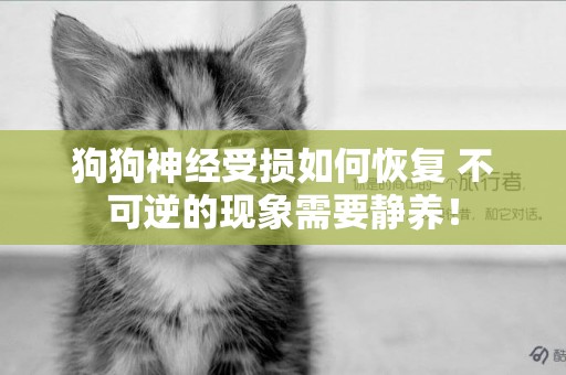 狗狗神經受損如何恢復 不可逆的現象需要靜養！