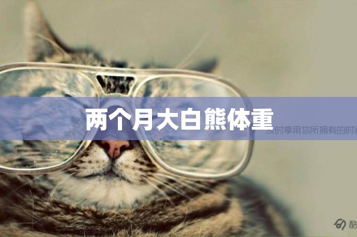兩個月大白熊體重