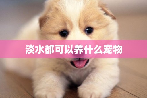 淡水都可以養什么寵物