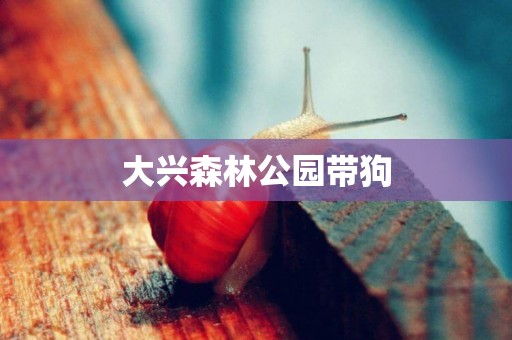 大興森林公園帶狗