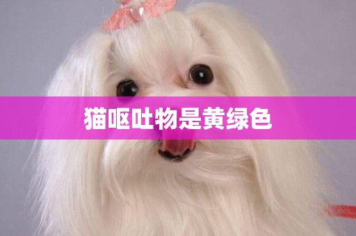 貓嘔吐物是黃綠色