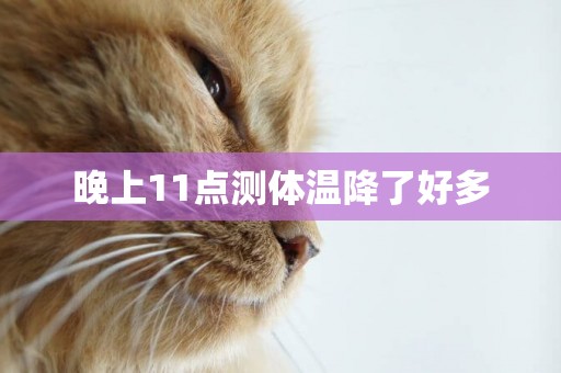 晚上11點測體溫降了好多