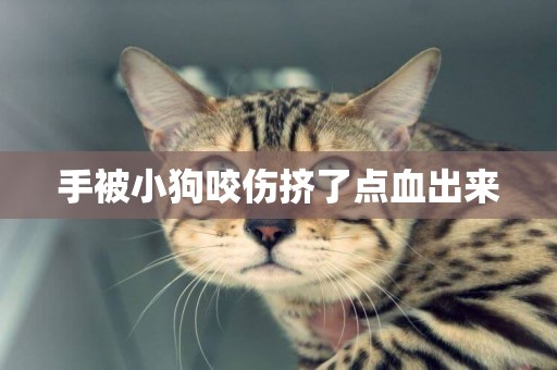 手被小狗咬傷擠了點血出來