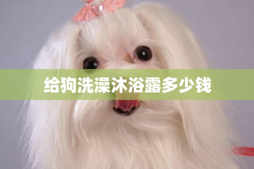 給狗洗澡沐浴露多少錢