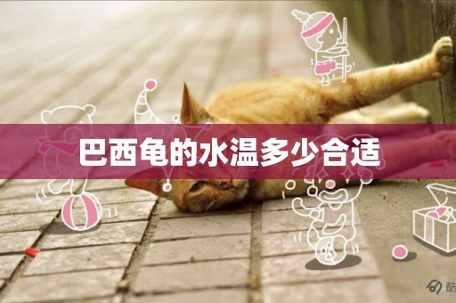 巴西龜的水溫多少合適