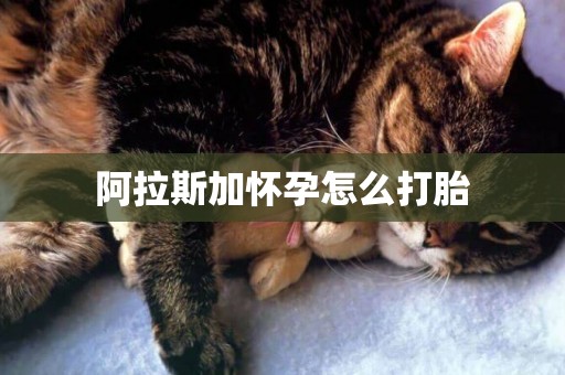 阿拉斯加懷孕怎么打胎