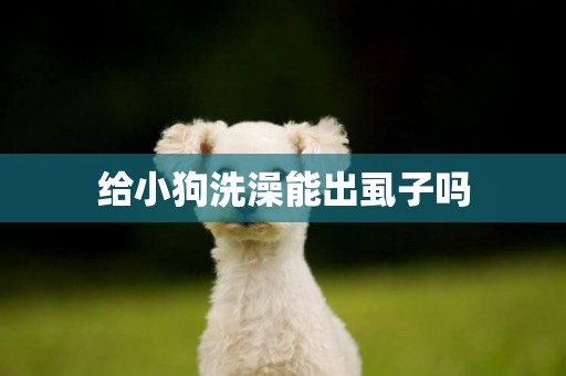 給小狗洗澡能出虱子嗎