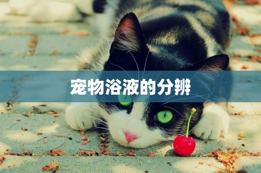 寵物浴液的分辨