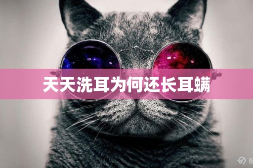 天天洗耳為何還長耳螨