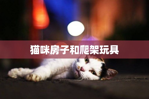 貓咪房子和爬架玩具