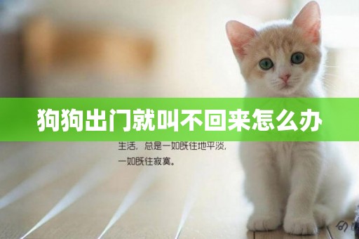 狗狗出門就叫不回來怎么辦