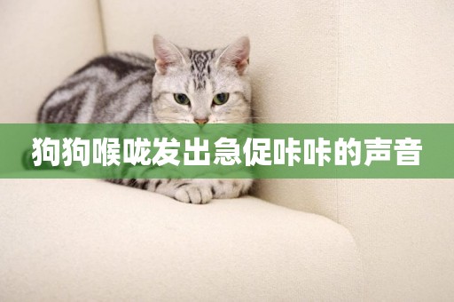 狗狗喉嚨發出急促咔咔的聲音