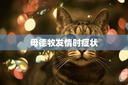 母德牧發情時癥狀