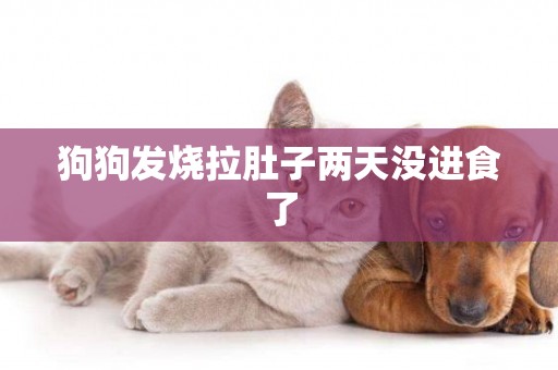 狗狗發燒拉肚子兩天沒進食了