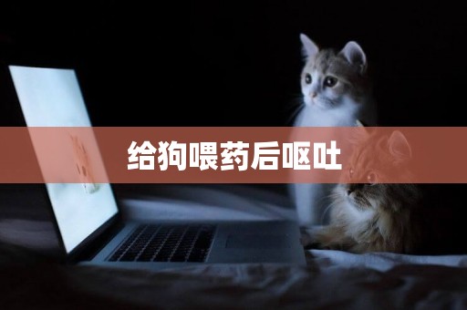 給狗喂藥后嘔吐