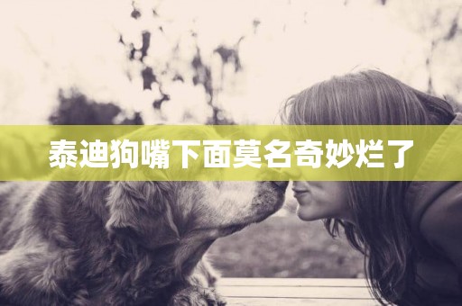 泰迪狗嘴下面莫名奇妙爛了