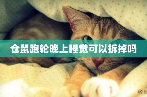 倉鼠跑輪晚上睡覺可以拆掉嗎