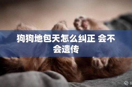 狗狗地包天怎么糾正 會不會遺傳 狗狗地包天怎么糾正 會不會遺傳
