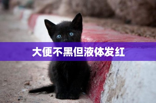 大便不黑但液體發紅