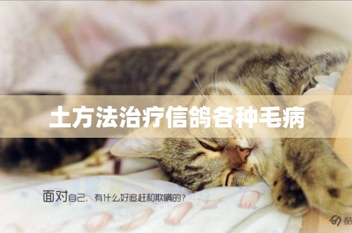土方法治療信鴿各種毛病