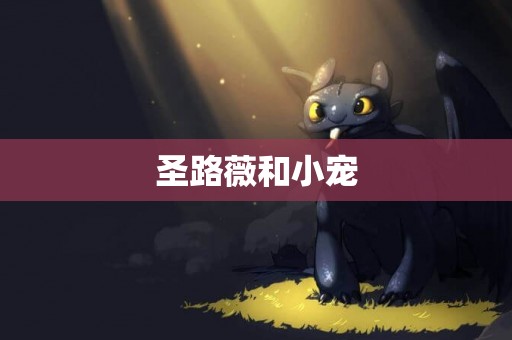 圣路薇和小寵