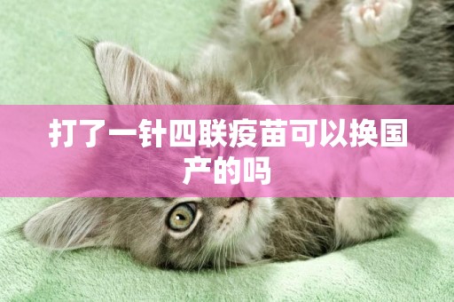 打了一針四聯疫苗可以換國產的嗎
