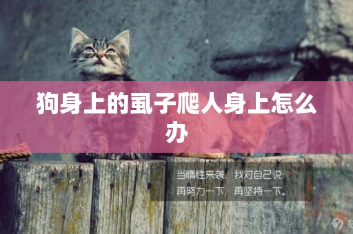 狗身上的虱子爬人身上怎么辦
