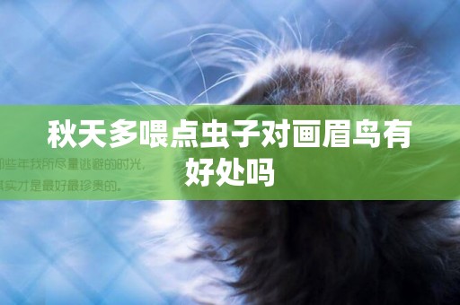 秋天多喂點蟲子對畫眉鳥有好處嗎