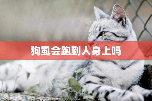 狗虱會跑到人身上嗎