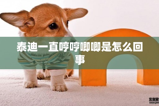 泰迪一直哼哼唧唧是怎么回事