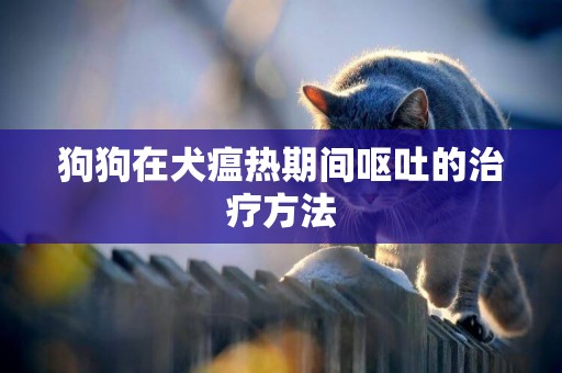 狗狗在犬瘟熱期間嘔吐的治療方法