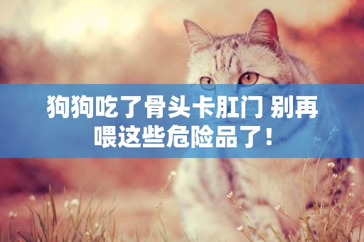 狗狗吃了骨頭卡肛門 別再喂這些危險品了！