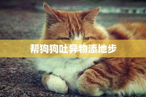 幫狗狗吐異物添地步