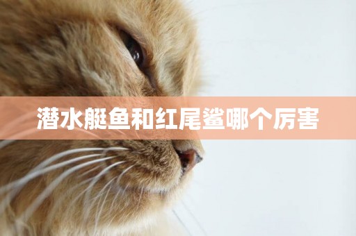 潛水艇魚和紅尾鯊哪個厲害