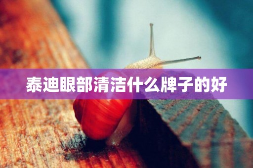 泰迪眼部清潔什么牌子的好