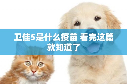 衛佳5是什么疫苗 看完這篇就知道了