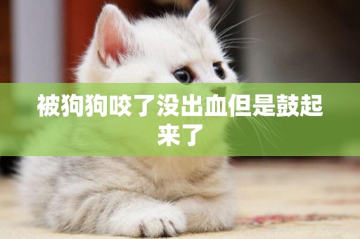 被狗狗咬了沒出血但是鼓起來了