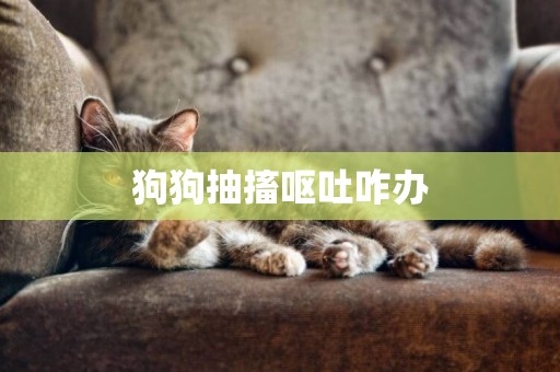 狗狗抽搐嘔吐咋辦