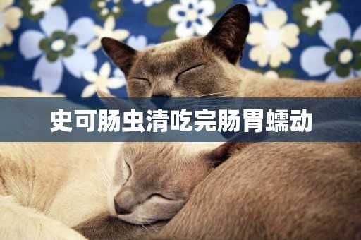史可腸蟲清吃完腸胃蠕動