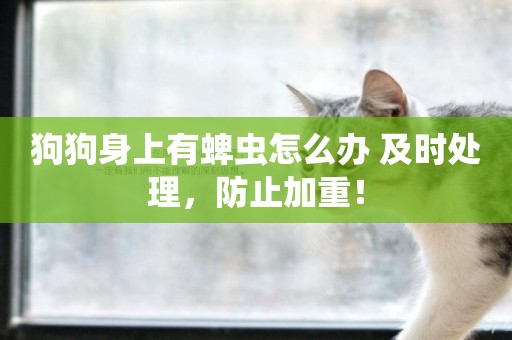 狗狗身上有蜱蟲怎么辦 及時處理，防止加重！
