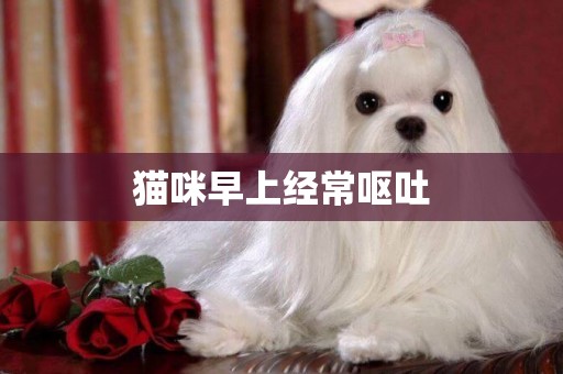 貓咪早上經常嘔吐