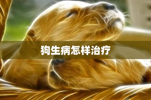 狗生病怎樣治療