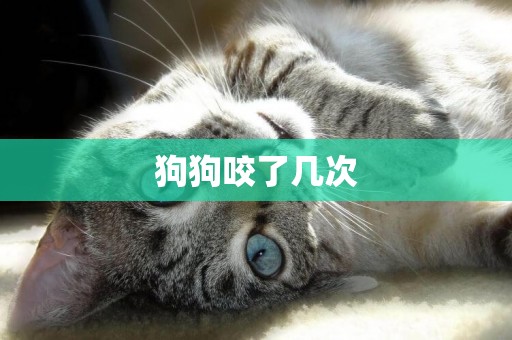 狗狗咬了幾次