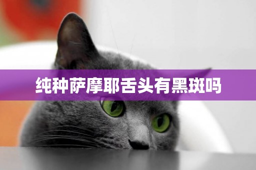 純種薩摩耶舌頭有黑斑嗎