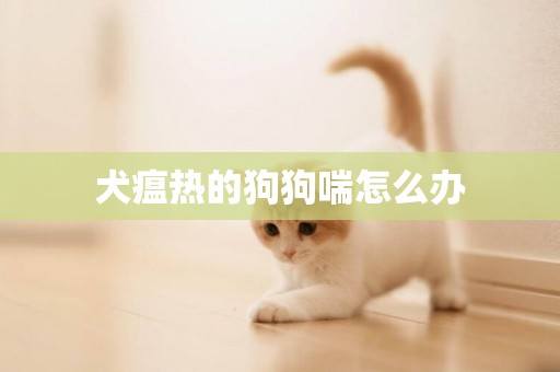 犬瘟熱的狗狗喘怎么辦