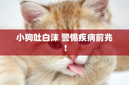 小狗吐白沫 警惕疾病前兆！