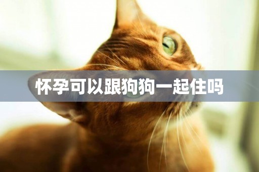 懷孕可以跟狗狗一起住嗎