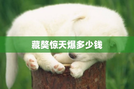 藏獒驚天爆多少錢