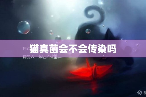 貓真菌會不會傳染嗎