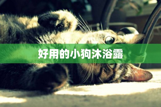 好用的小狗沐浴露